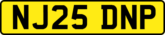 NJ25DNP