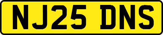 NJ25DNS