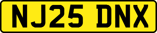 NJ25DNX