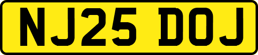 NJ25DOJ