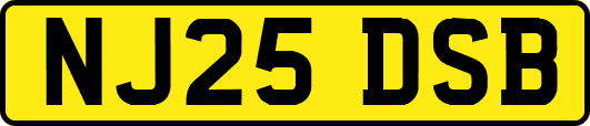 NJ25DSB