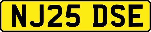 NJ25DSE