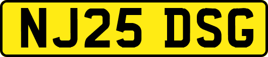 NJ25DSG