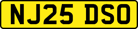 NJ25DSO
