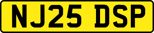 NJ25DSP