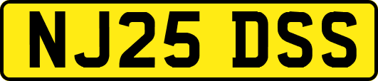 NJ25DSS