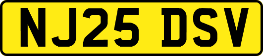 NJ25DSV