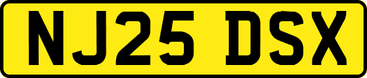 NJ25DSX