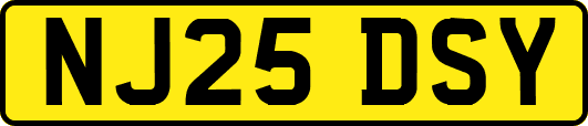 NJ25DSY