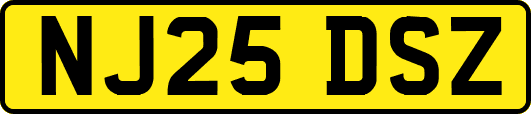 NJ25DSZ
