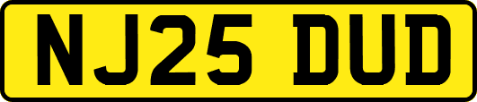 NJ25DUD