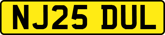 NJ25DUL