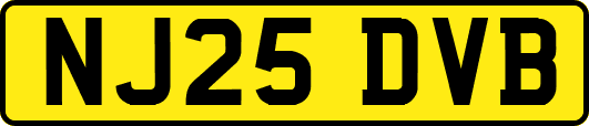 NJ25DVB