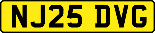 NJ25DVG