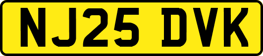 NJ25DVK