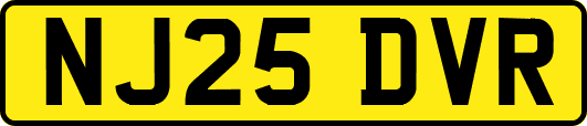 NJ25DVR