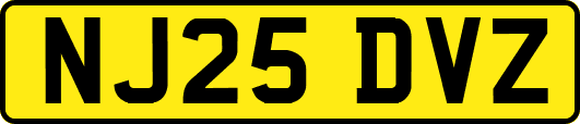 NJ25DVZ