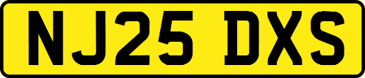 NJ25DXS