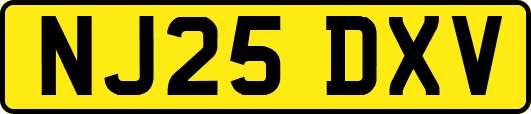 NJ25DXV