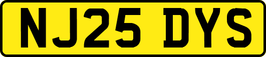 NJ25DYS