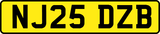 NJ25DZB
