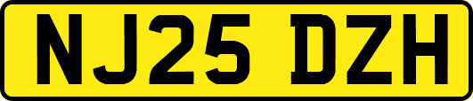NJ25DZH