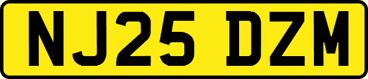 NJ25DZM