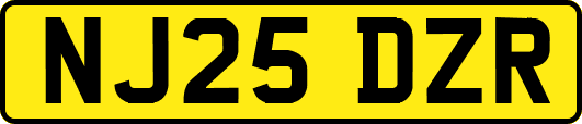 NJ25DZR