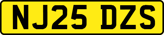 NJ25DZS