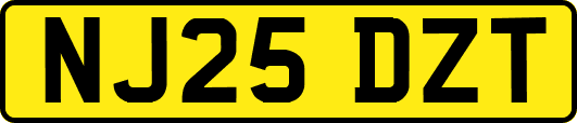NJ25DZT