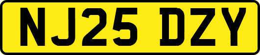 NJ25DZY