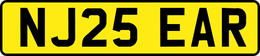NJ25EAR