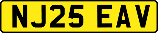 NJ25EAV