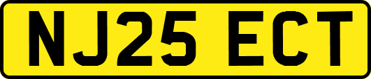 NJ25ECT