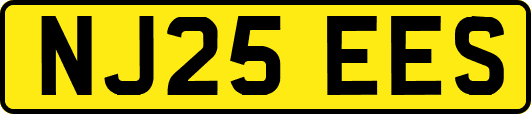 NJ25EES