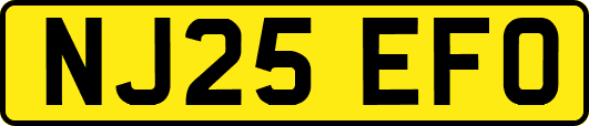 NJ25EFO