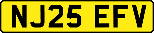 NJ25EFV