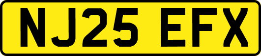 NJ25EFX