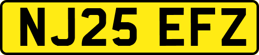 NJ25EFZ