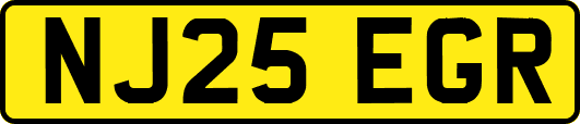 NJ25EGR