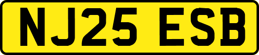 NJ25ESB