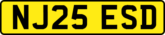 NJ25ESD