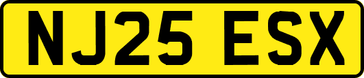 NJ25ESX