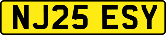 NJ25ESY