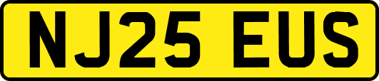 NJ25EUS