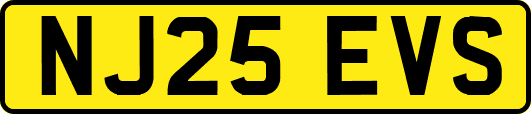 NJ25EVS