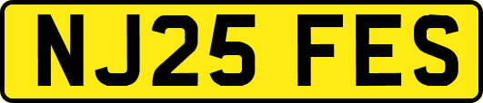 NJ25FES