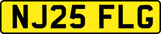 NJ25FLG