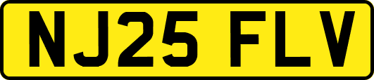 NJ25FLV