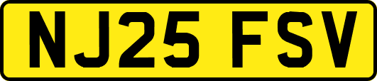 NJ25FSV